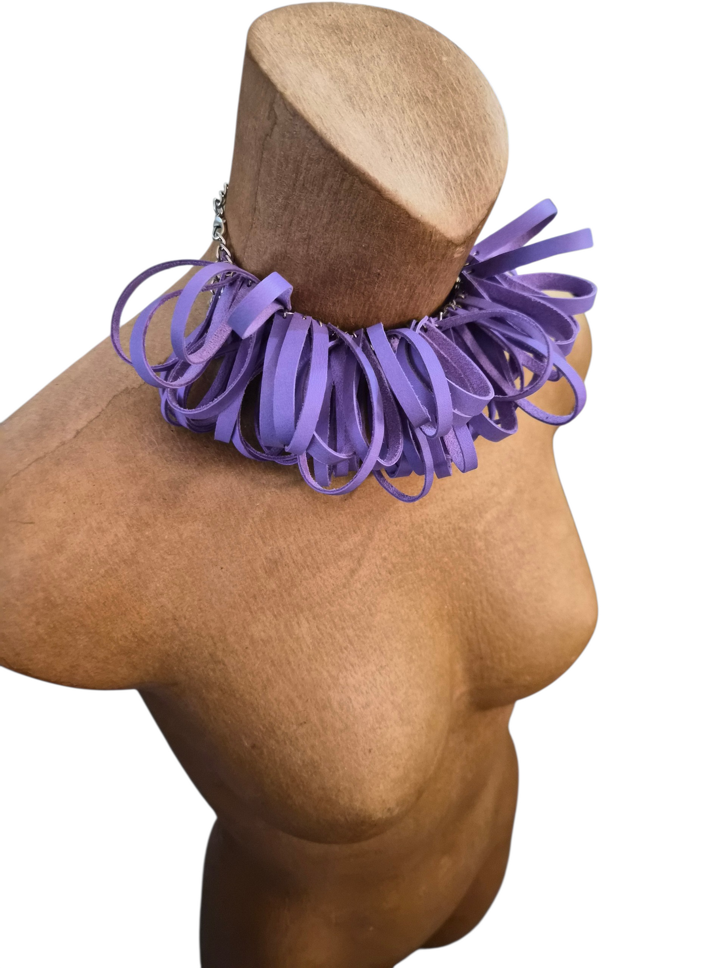 Purple Looped Hooped
