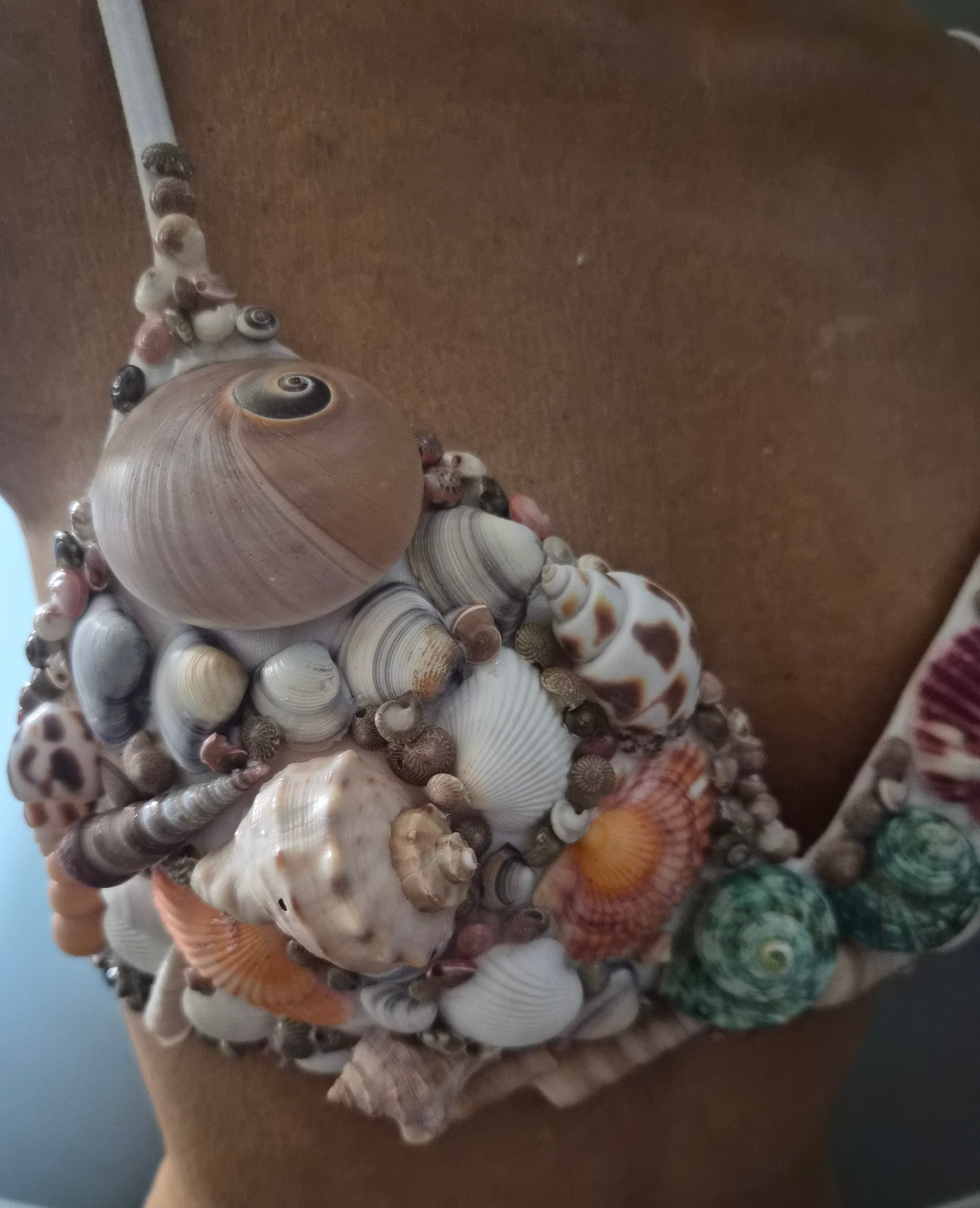 Island Retreat 3D Seashell Bralette