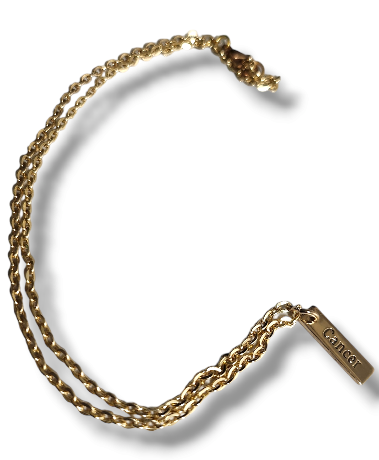 14kt Gold-Plated Zodiac Charm