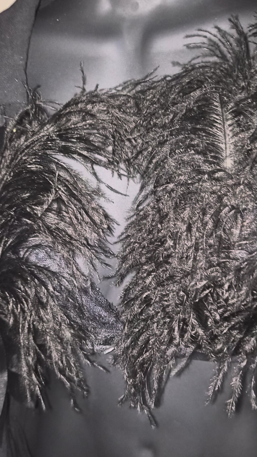 🖤 Midnight Eclipse Swan — Feathered Couture Bralette