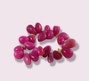 Fucshia Jellybeans